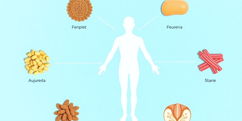 Sapthadhatu: Seven Essential Body Tissues