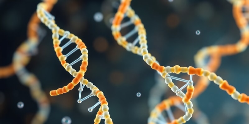 Nucleic Acid DNA & RNA Overview