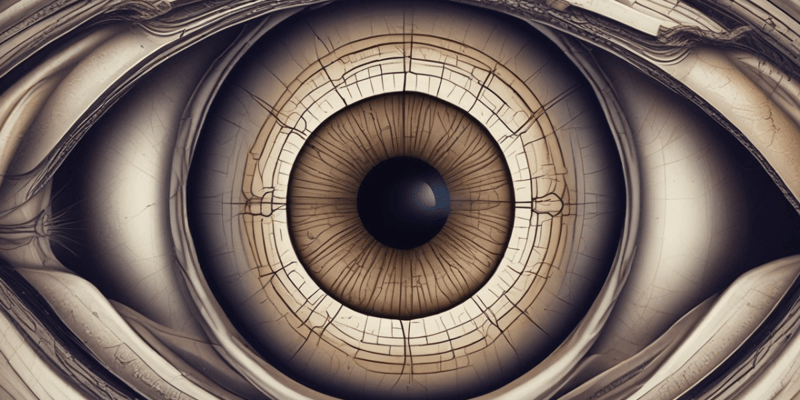 Anatomía de la retina