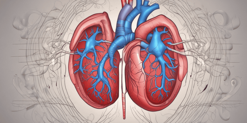 Blood Pressure and Pulmonary Hypertension