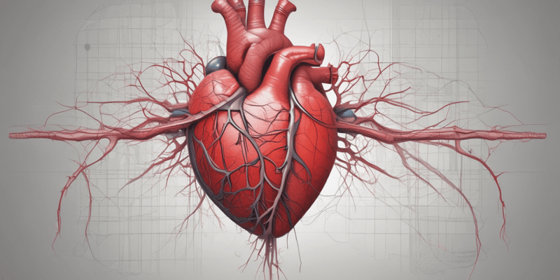 Anatomy of Heart: Coronary Arteries and Pericardium