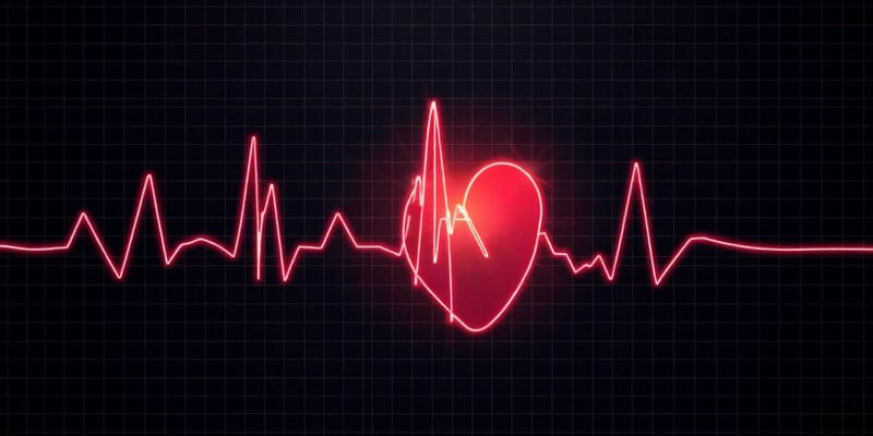 Electrocardiographic Interpretation of Cardiac Muscle and  Coronary Blood Flow Abnormalities