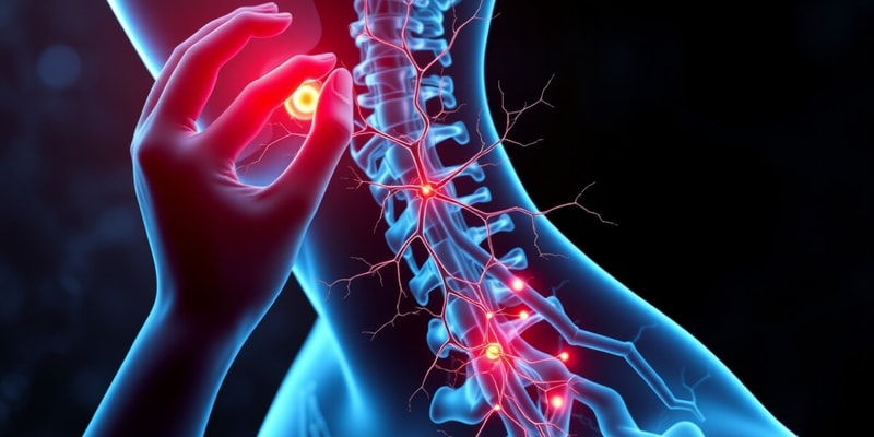 Pain Modulation Overview