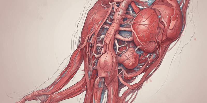 Takayasu Arteritis and Polyarteritis Nodosa