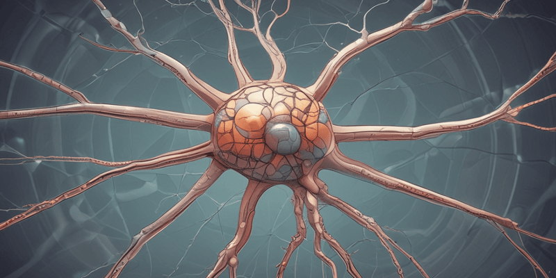 Neuron Structure and Function