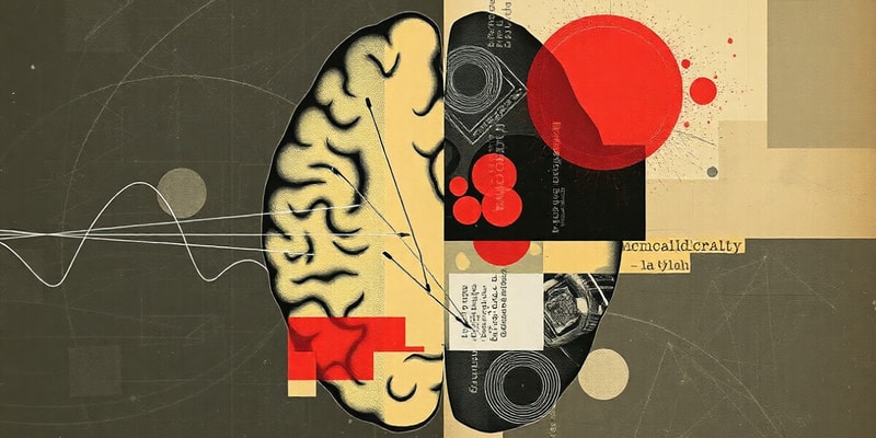 Understanding Stroke Types and TIAs