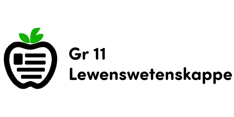 Hfst 3: Verwantskap tussen liggaamsplan en lewenswyses