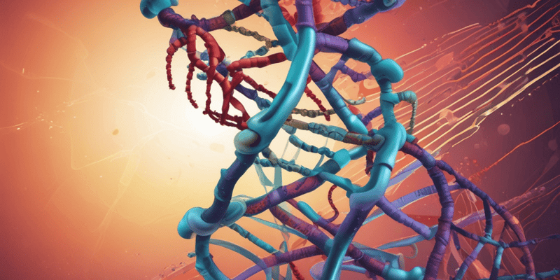 Molecular Biology Quiz: DNA Repair and Mutations