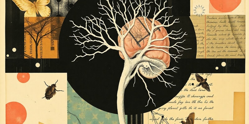 Nervous System Overview