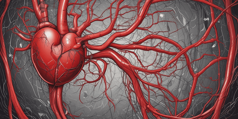 Cardiovascular System Structure