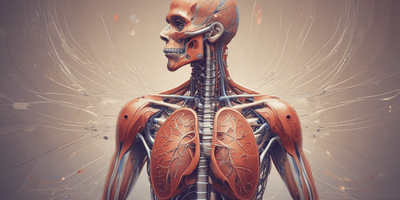 Respiratory System Assessment