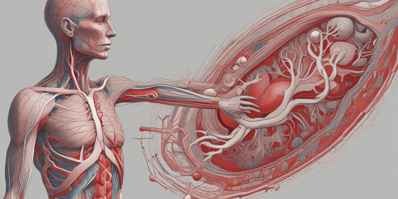 Ninja Nerd - Circulatory System | Arteries of the Lower Limb | Flow Chart