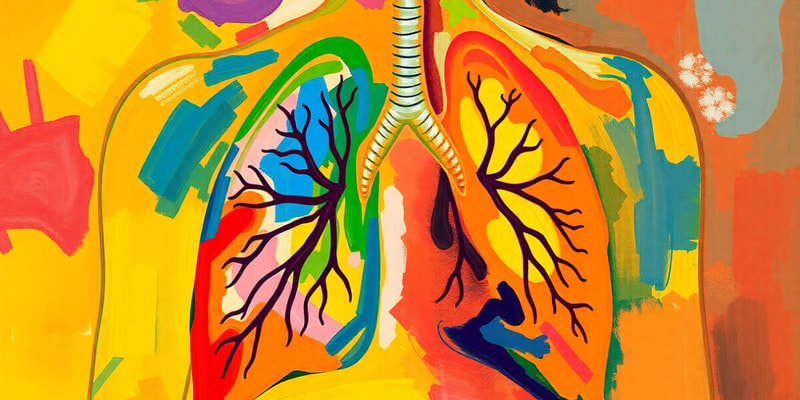 Respiratory System Overview