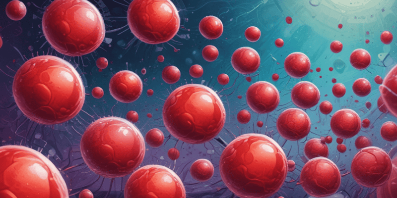 Blood Cells Types and Functions