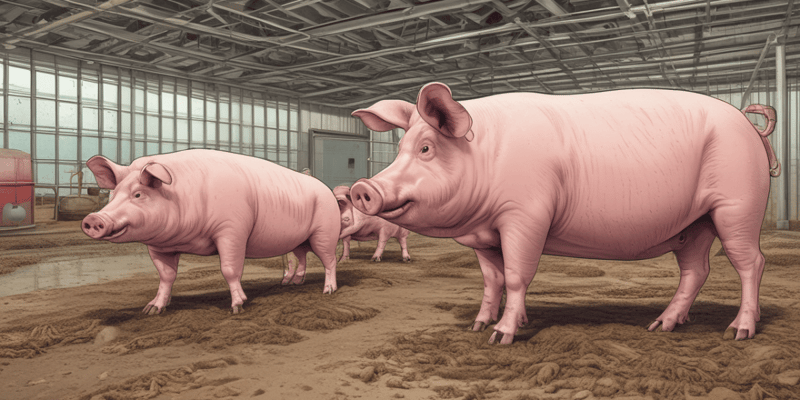 Recognizing Signs of Illness in Pigs and Biosecurity