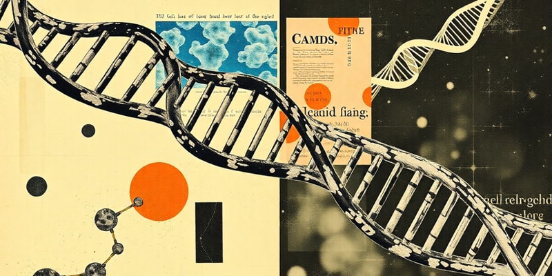 Biology Chapter: DNA, Cells, and Genes