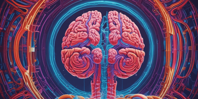 MRI Brain Imaging Basics Quiz