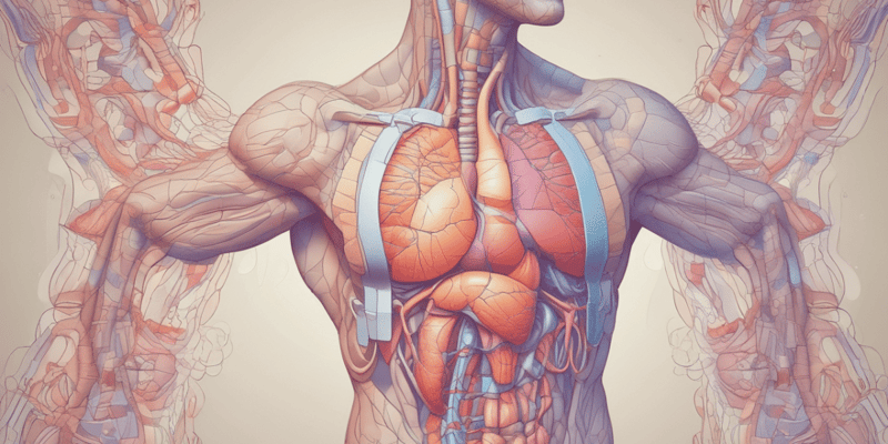 Thyroid Physiology (Easy)