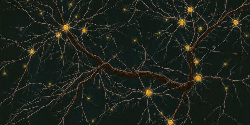 Neurons and Glial Cells Overview