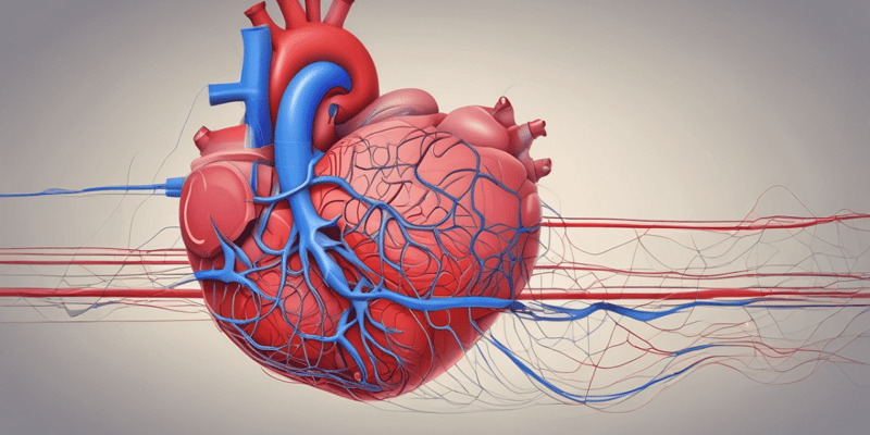 Physiology: The Cardiovascular System