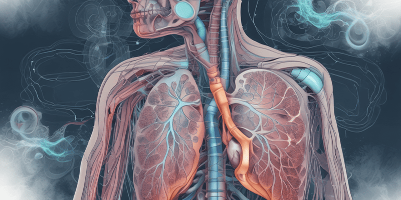 Respiratory System Overview Quiz