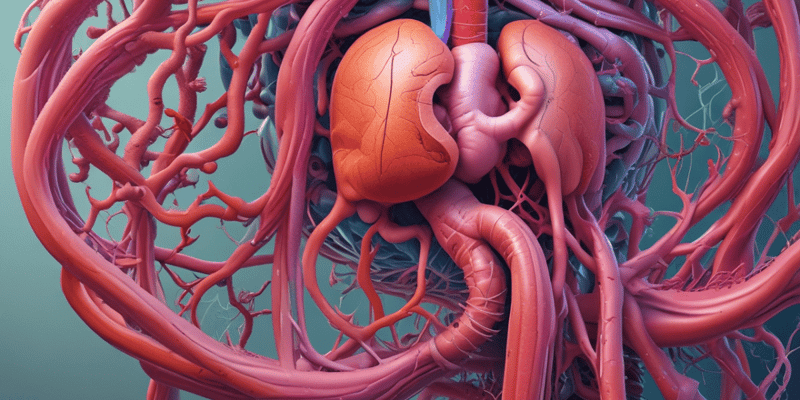 Human Digestive System Organs Quiz