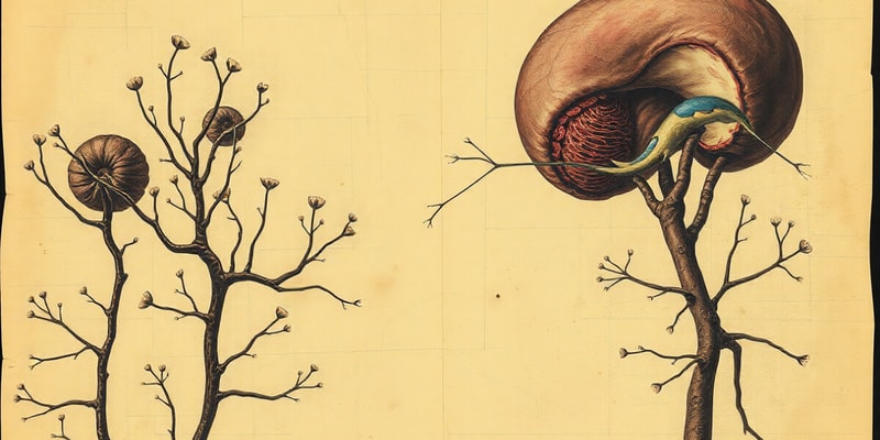 Cellular Adaptations in Biology