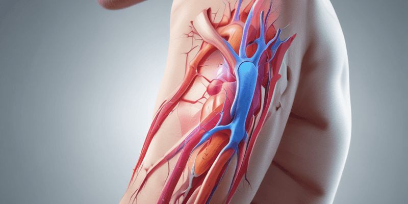 Elbow Pain: Etiology, Signs, and Special Tests