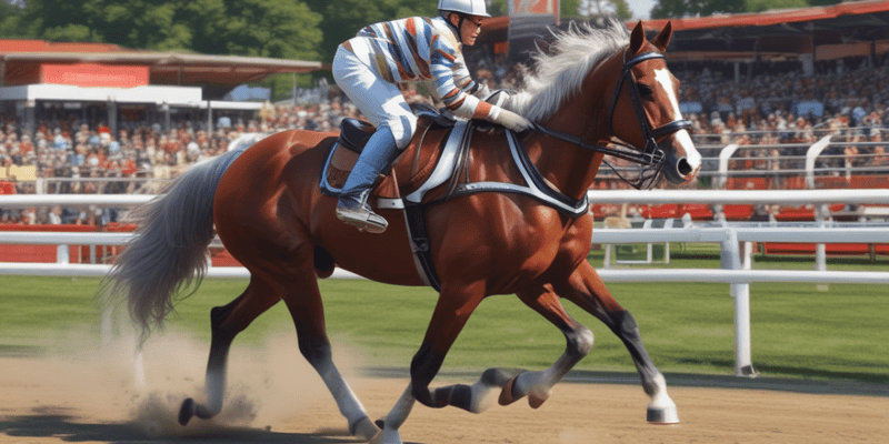 XVI – Driving Rules in Horse Shows