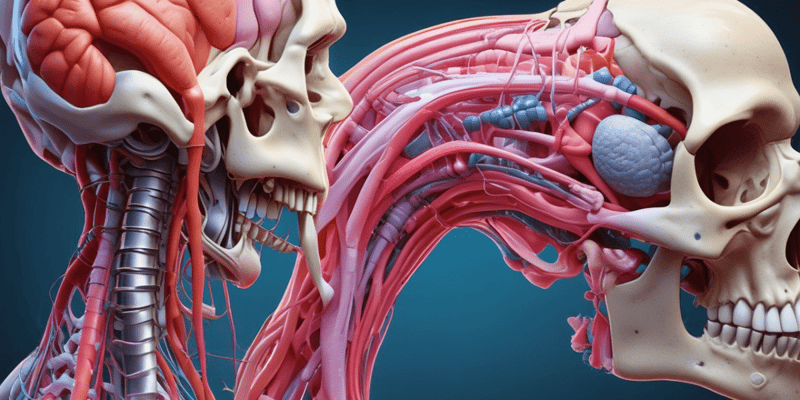 Biomechanics & Surgery: Tissue Mechanics III Cartilage