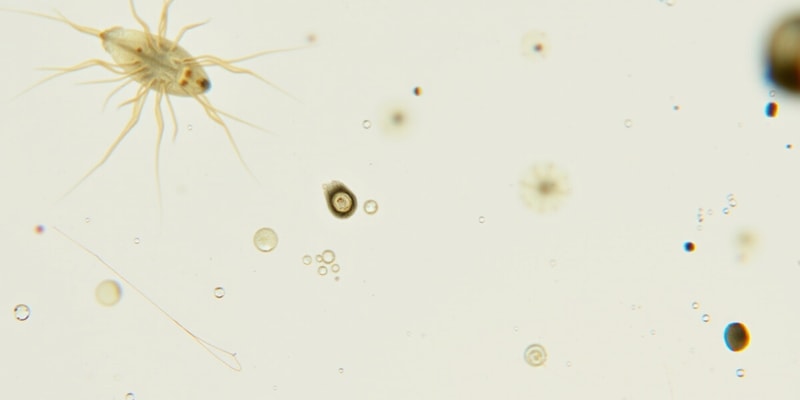 Protozoa Characteristics and Reproduction