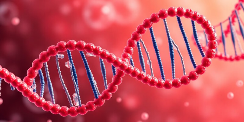 DNA Replication and Models