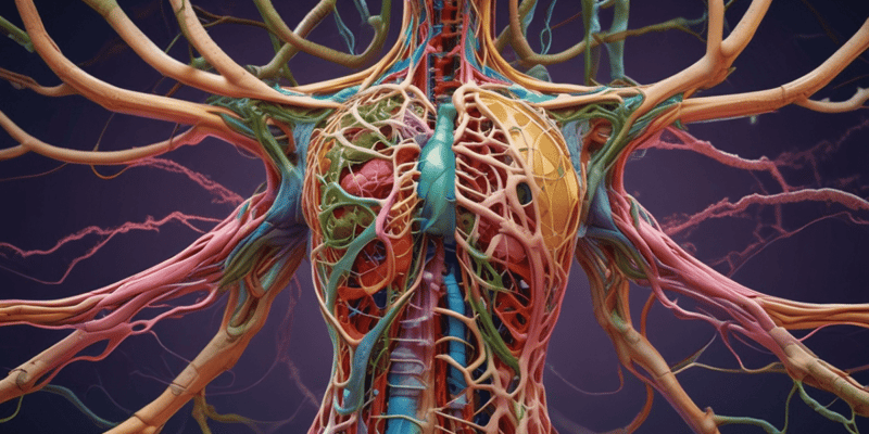 Anatomy of the Lymphatic and Immune Systems - Chapter 21.1