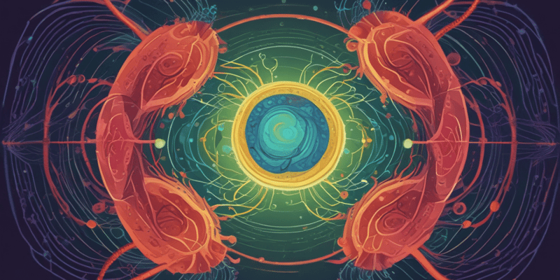 Overview of the Cell Cycle