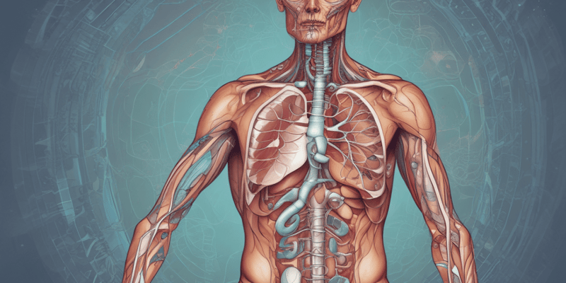 Anatomy. Respiratory System Qz 1