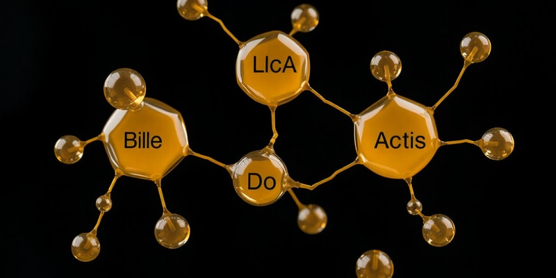 Bile and Its Components Quiz