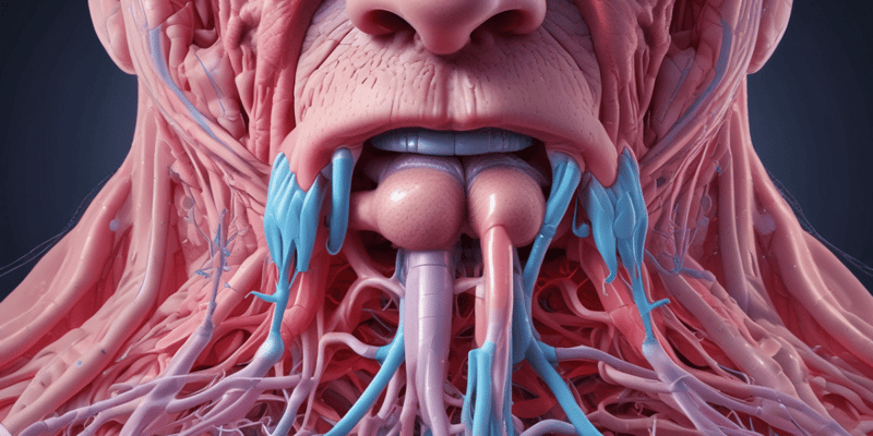 Respiratory System: Nose Anatomy and Functions Quiz