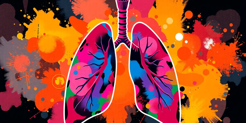 Auscultation of Lung Sounds