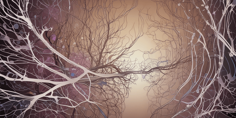 Physiology of the Nervous System: Central Nervous System
