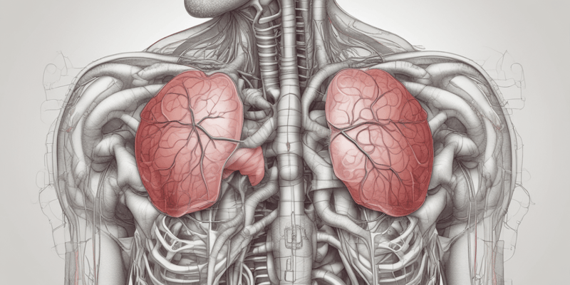Respiratory Anatomy – Mechanics of Breathing1.1