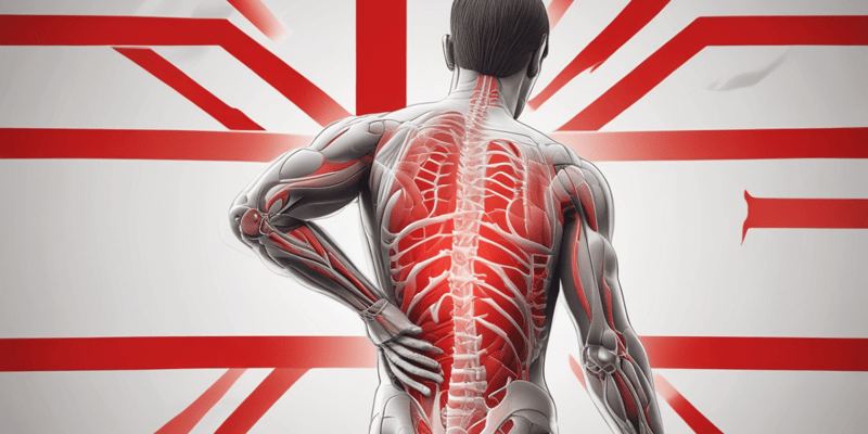 Back Pain Epidemiology and Types Quiz