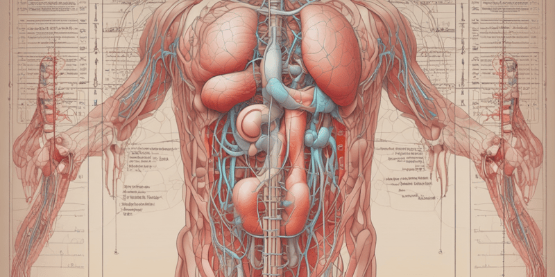 The Urinary System: Structure and Functions