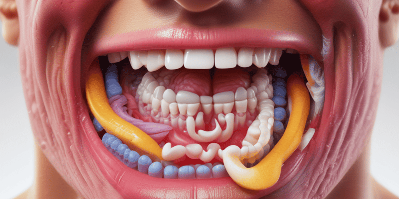 Appetite Control and Oral Cavity Anatomy