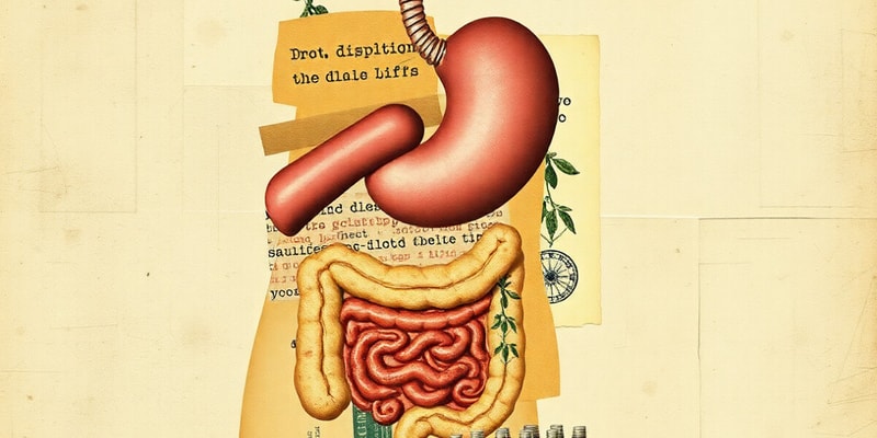 D1.2 - The Digestive System