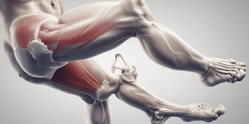 Special Tests for Hamstring Strain and Snapping Hip Conditions