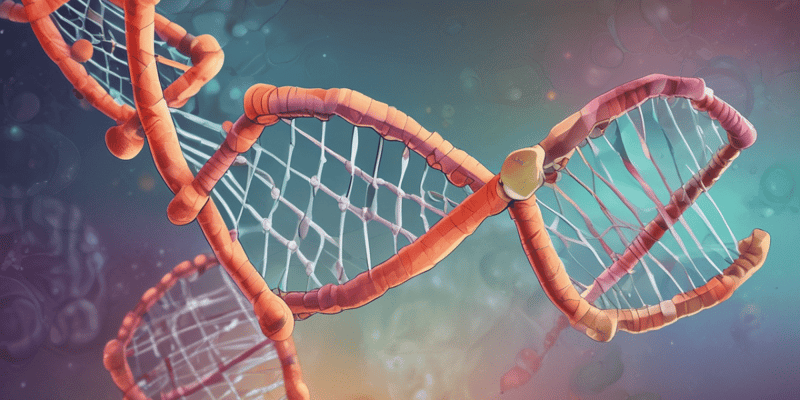 DNA Polimerasi e Accoppiamento Specifico