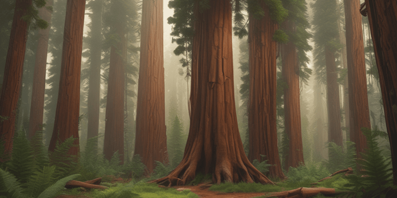 Biology Chapter: Redwoods and Arms Races