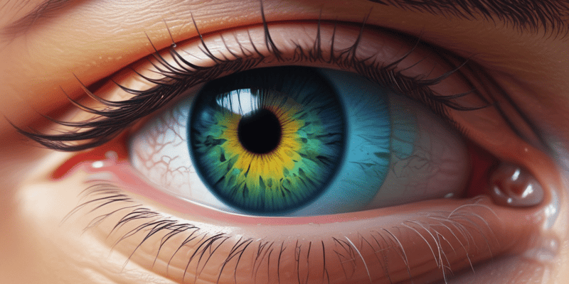 Anatomy of the Eye: Pupil Dilation and Aqueous Humor Production