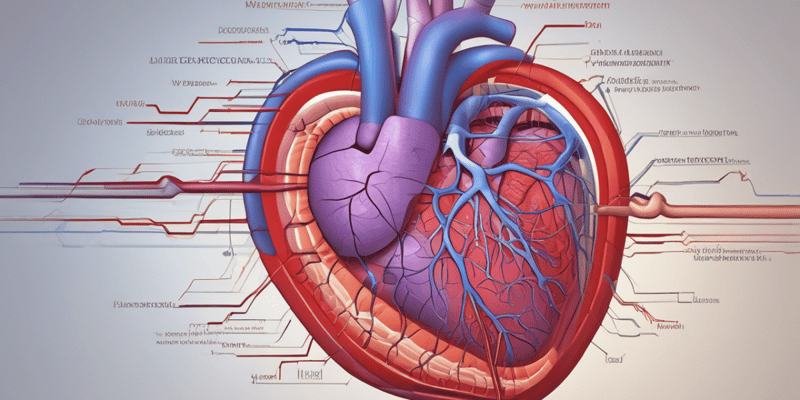 Supraventricular Tachycardia: Causes and Characteristics