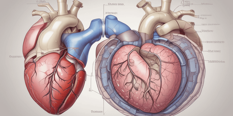 Mitral Valve Disease Overview